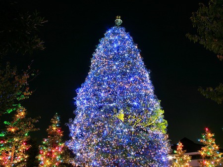 beautyful blue - christmas, x-mas, lights, holidays, night, tree