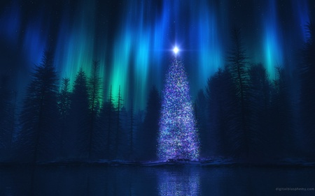 christmas - x-mas, black, star, tree, night, blue