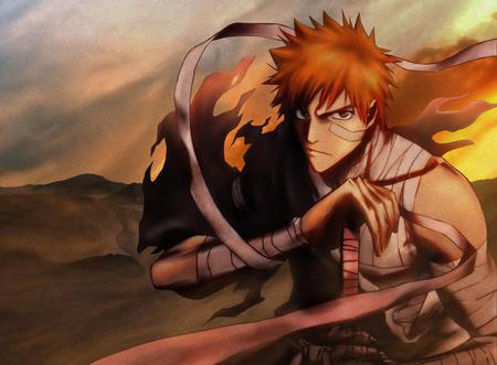 Ichigo - ichigo, kurosaki, bleach