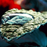 WATER DROP ON LEAF