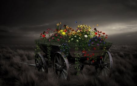 Flowers in the night - flowers, 4K, night, cart