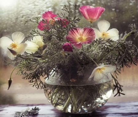 Delicacy - flowers, vase, transparent, 4K