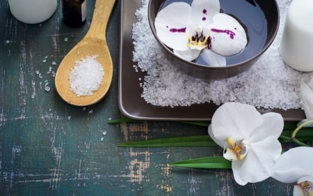 Orchid Flower in the water bowl - spoon, orchids, salt, spa, flowers