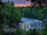 Forest Waterfall