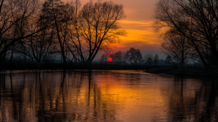 Orange sky - sky, lake, tree, sunset