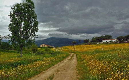 Country Road - cloud, road, country, nature