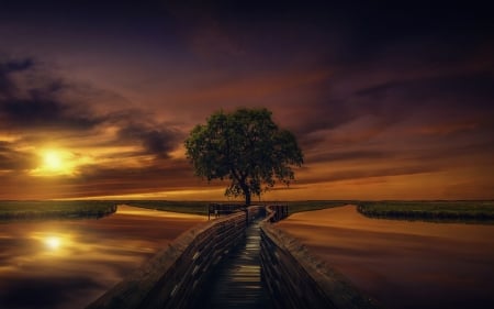 Sunset Sky - River, Tree, Sky, Bridge