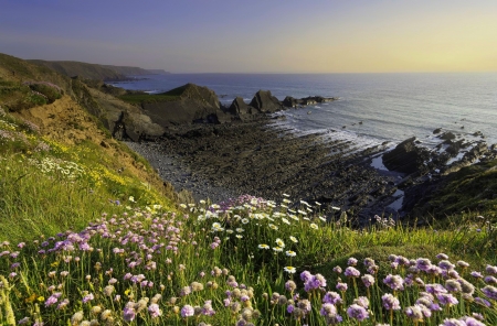 Sea view - view, sky, beach, beautiful, sea, wildflowers