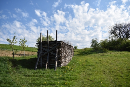 what a day - clouds, trees, wood, spring, grass, logs, green, sun, sky