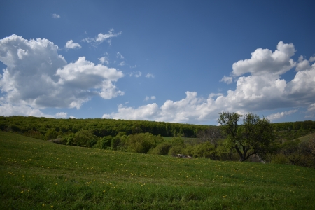 beautiful sky - clouds, beautiful, spring, grass, forest, green, land, field, sun, sky