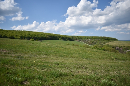 field in spring - sun, field, spring, country, forest, blue, beautiful, clouds, green, landspace, grass, land