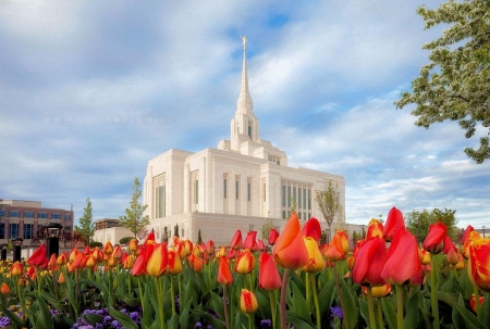 Ogden Temple in Spring, Utah - sky, building, clouds, tulips, flowers