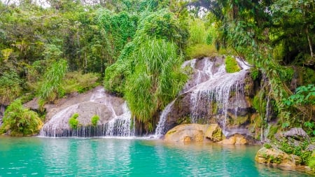 Cuba - waterfalls, green branches, water, Cuba