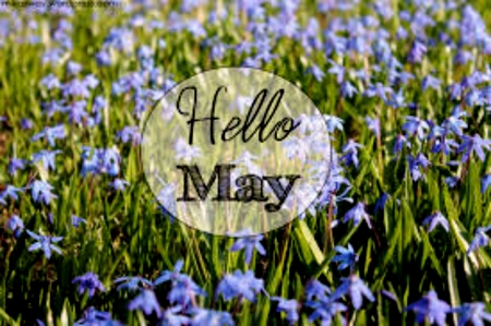 Hello Flowers - Purple, Hello, Nature, May, Flowers