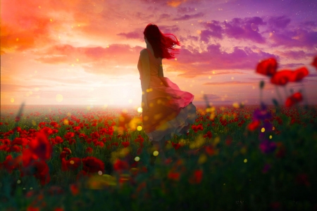 Flowers - pretty, girl, silhouette, flowers, fantasy, sunset, digital, woman, field, art, wallpaper