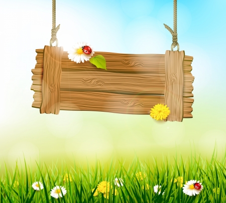 :) - easter, green, ladybug, wood, spring, grass, card