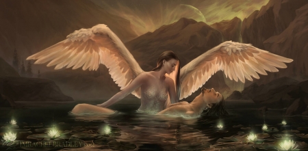 To fall for an angel - girl, angel, wings, copuple, water, fantasy, luminos, man, feather