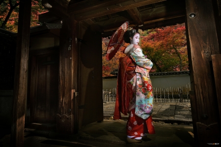 Geisha - geisha, model, kimono, girl, parasol, asian, woman, autumn