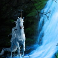 Unicorn