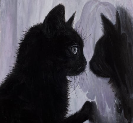 Now I belive in love at first sight - borda, reflection, cat, black, mirror, kitten, paw, pisici, cute, art