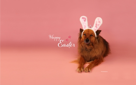 Happy Easter! - easter, funny, ears, dog, caine, card, bunny