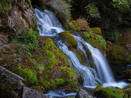 Autumn Waterfall - nature, waterfall, autumn, moss, stream, rocks, leaves