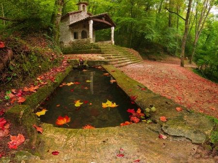 Autumn Reflection - nature, autumn, trees, church, reflection, water, grass