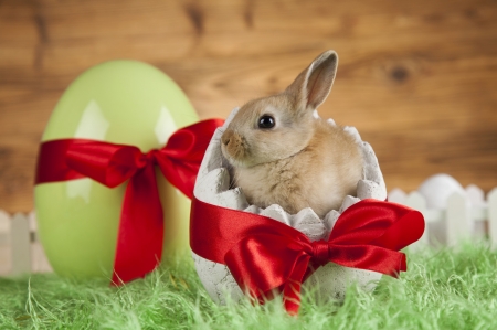 Happy Easter! - easter, bunny, rabbit, rodent, bow, red, green, card, animal, egg, cute