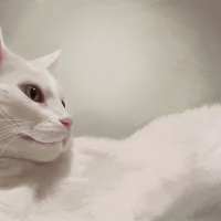 White cat