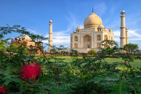 Taj Mahal, India - india, architecture, ancient, flower