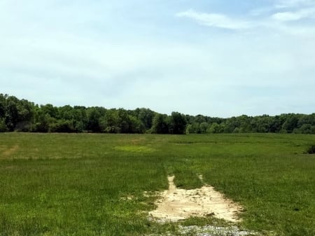 Peaceful Pastures - Nature, Rural, Tennessee, Pastures, Fields