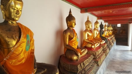 Buddhas at the Temple, Bangkok, Thailand - thailand, bangkok, buddhas, temple, asia