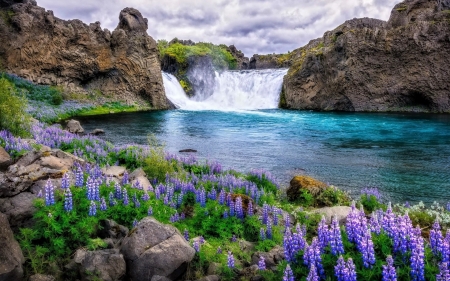 Rocks waterfall - wildflower, river, beautiful, waterfall, grass, spring, rocks