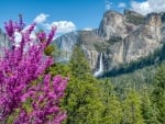 Bridalveil Falls, Yosemite Nat'l. Park, California