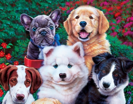 Puppies - pictura, border collie, cute, puppy, painting, jenny newland, dog, art