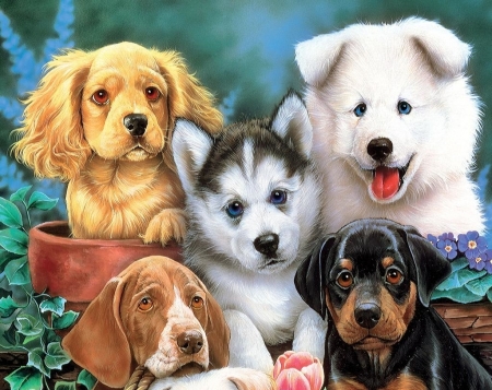 Puppies - pictura, animal, painting, dog, caine, jenny newland, puppy, art