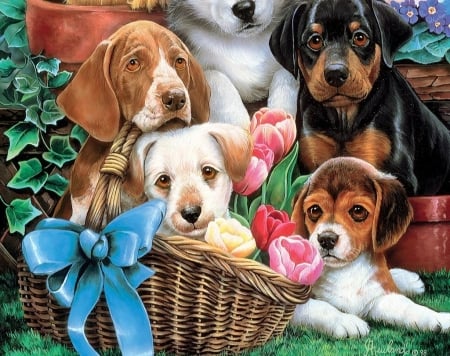 Puppies - puppy, jenny newland, baskey, painting, caine, art, bow, pink, blue, dog, pictura, animal