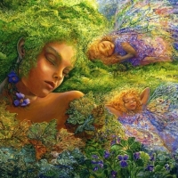 Sleeping fairies