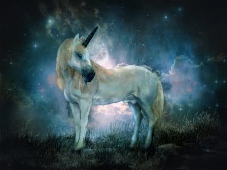 Magical Unicorn - clouds, beauty, grass, stars, unicorn, magical, rocks, sky