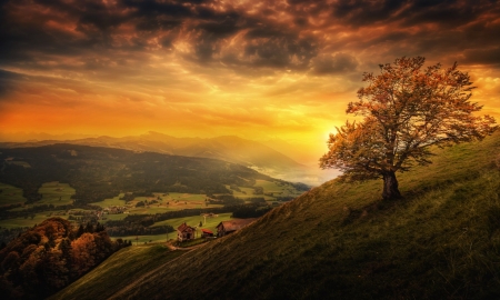 Orange Sky - cloud, sunset, orange, sky