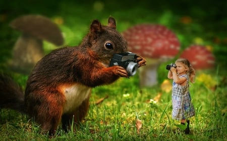 Squirrel And Girl Cameras - Girl, Animals, Squirrels, Funny, Cameras