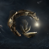 Zodiac ~ Pisces