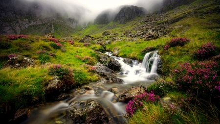 Wonderful Scotland - fog, fields, Scotland, scene, stream, river, nature, ladscape, mist, mountains, wallpaper