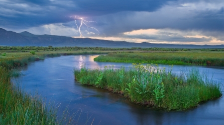 river - flowers, river, water, lightning, sky