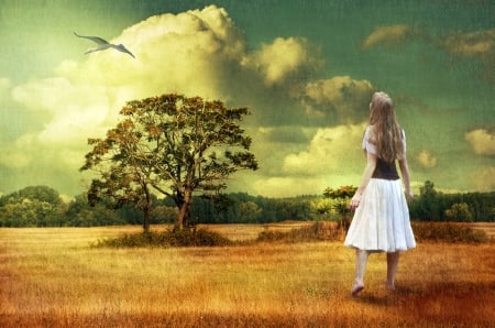 The Messager - clouds, bird, girl, grass, field, tree, sky