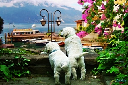 Wonderful Day - lake, building, adorable, dock, stop, mountains, village, brick, lanterns, sweet, flowers, puppies, boat