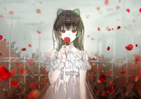 ᴘᴀssɪᴏɴᴀᴛᴇ ʀᴏsᴇ - Cute, Fence, Beautiful, Black Hair, Lovely, Petals, Anime, Dark, Rose, Girl, Long Hair, Naru