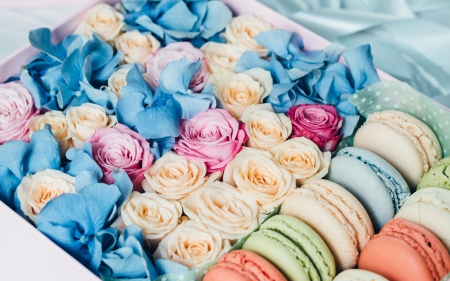 â™¥ - cookie, valentine, rose, blue, pink, card, macaron, sweet, food, dessert, flower