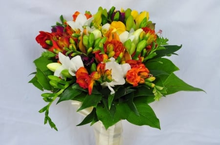 Freesias - bouquet, freesia, flower, spring