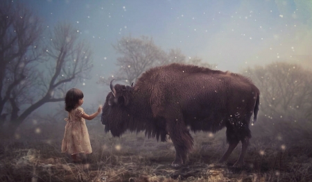 Trusting Each Other - brown, digital, buffalo, sweet, cow, browns, little girl, trust